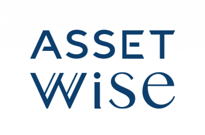 Asset Wise